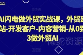AI闪电做外贸实战课 零基础掌握建站获客营销全流程
