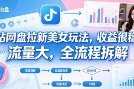 B站美女向网盘拉新玩法全流程拆解 高流量稳定收益实操详解