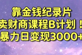 2024财经纪录片联合财商课程变现策略 零基础可上手实操教程