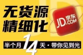 京东无货源精细化运营训练营 0门槛上手做爆款可复制做店群