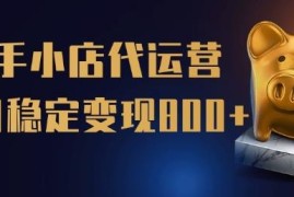 快手小店代运营托管项目详解 零门槛无需运营稳定变现玩法