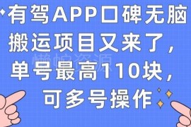有驾APP口碑搬运项目玩法详解 单账号最高收益110元可多号操作