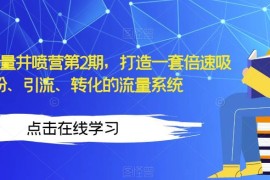 知识IP流量井喷营第2期 搭建吸粉引流转化全链路流量系统