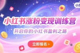 小红书涨粉变现训练营攻略 从入门到进阶掌握平台盈利技巧