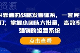 2024靠谱战略发售体系教程 助力IP打造小团队零强销高效运营系统