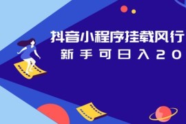 抖音挂载风行视频小程序变现攻略 新手零基础实操赚收益教程