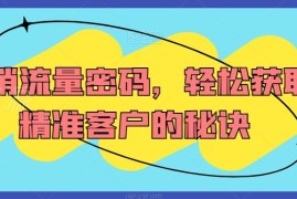 精准获客流量密码教程 私域引流高效获取目标客户技巧