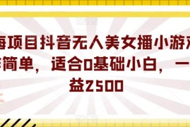0基础可做抖音无人美女播小游戏蓝海项目 附全套素材教程