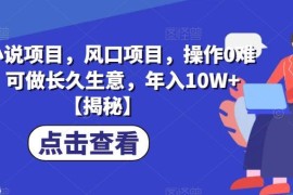 B站小说低门槛蓝海项目实操指南 可长期运营年入10万+