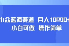 适合小白操作的小众蓝海低门槛副业 每天仅需30分钟可月入过万