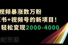 小红书+视频号全新变现项目解析 单条视频涨粉数万单月赚数千元