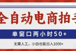 全自动电商拍手项目介绍 零成本无需人工小白也能轻松上手