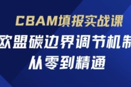 欧盟碳边界调节机制CBAM填报实战课 从零掌握合规申报全流程