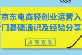 京东电商轻创业运营入门通识 基础实操及经验技巧分享