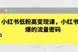 小红书低粉高变现运营课程 热门赛道流量密码及获客方法拆解