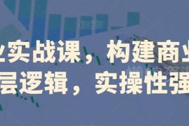 创业实战系统课程 构建商业底层逻辑 多行业实操案例全解析