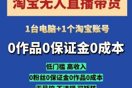 2025淘宝无人直播带货实操攻略 低门槛无需看管开播即可变现
