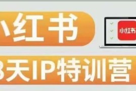 第3期28天小红书博主IP特训营 0基础起号涨粉变现实操指南