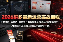 2026拼多多运营实战课程 三套付费起款体系白牌冲黑标全方案