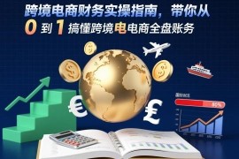 跨境电商财务实操指南 零基础从0到1学会全盘账务处理