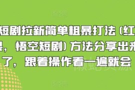 红果悟空短剧拉新实操打法分享 新手零基础看完即可上手