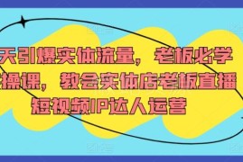 实体店短视频直播IP运营实操课 7天引爆本地到店流量全教程