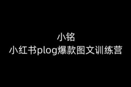 小红书plog爆款图文训练营 0基础掌握从账号搭建到变现全流程