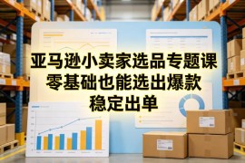 亚马逊小卖家选品专题课 零基础学科学选品打造爆款稳定出单