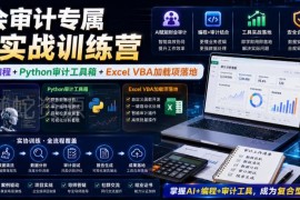 财会审计专属AI实战训练营 学AI协同编程落地Python审计工具箱与VBA插件