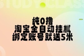 2024纯零撸淘宝全自动挂机项目 授权登录即得5元多号多赚