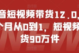 抖音短视频带货实操教程 14个月从零起步累计带货90万件方法