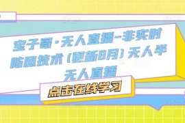 2025年10月更新 宝子哥无人半无人直播非实时防风技术教程
