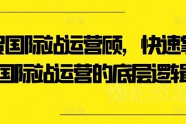 外贸国际站运营全流程教程 从底层逻辑到爆品打造实操指南