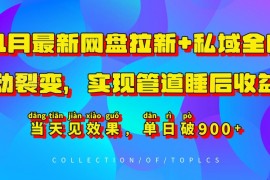 2024年11月最新网盘拉新私域裂变玩法 实操赚管道睡后收益教程