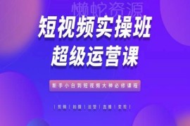 短视频运营实操系统课 新手从入门到变现全流程学习教程