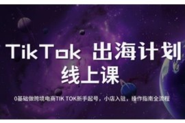 TikTok跨境电商新手全攻略 0基础起号运营及小店入驻流程指南