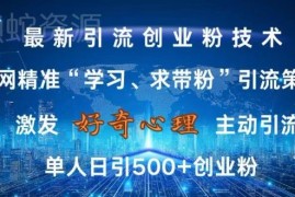巧用好奇心全网精准引流创业粉 无封号风险日引500+实操方法