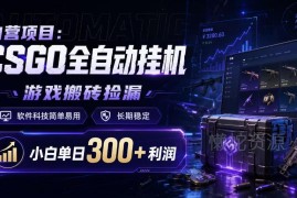 CSGO全自动饰品捡漏搬砖项目 小白易上手长期稳定盈利玩法