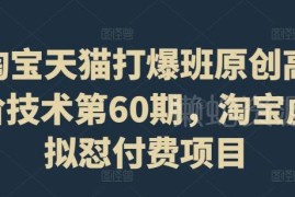 淘宝天猫打爆班第60期 虚拟品付费运营全流程实操教程