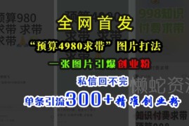 小红书「预算4980带我飞」图片打法 单条引流300+精准创业粉教程