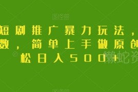 抖音短剧推广无门槛实操教程 无需粉丝易上手原创操作收益指南