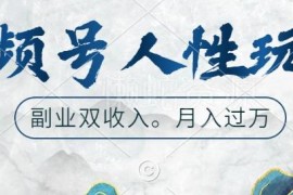 2024视频号人性玩法攻略 助力快速起号斩获广告双份副业收入