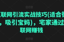 适合微商宝妈的互联网引流技巧 宅家短视频赚钱实操教程