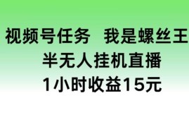 视频号半无人游戏挂机任务实操教程 单小时收益可达15元