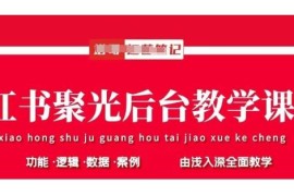 小红书聚光投放全流程教学 后台操作策略与数据分析实操指南