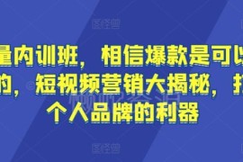 短视频流量内训教程：可复制爆款打造与个人IP塑造实操方法