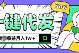 2024可落地抖推猫一键代发项目详解 低门槛操作轻松获稳定收益