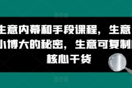 创业生意内幕与实操手段课程 以小博大可复制核心干货分享