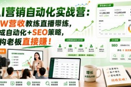 AI营销自动化实战营教程 百万营收教练带练 含SEO落地策略