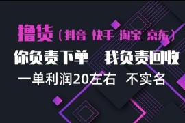 抖音淘宝快手买手差价项目详解 可单账号多单操作支持矩阵运营